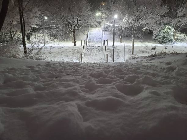 istock Winter night scenery of a heavy snow 1294998930