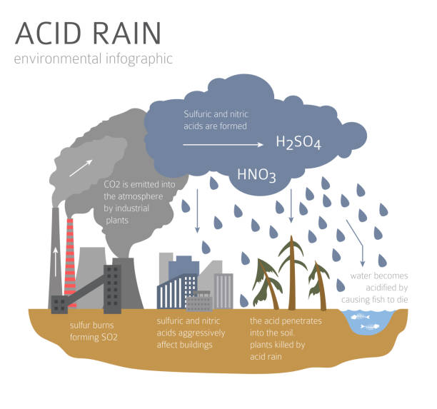 illustrazioni stock, clip art, cartoni animati e icone di tendenza di problemi ambientali globali. infografica pioggia acida - acid rain