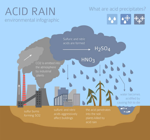 bildbanksillustrationer, clip art samt tecknat material och ikoner med globala miljöproblem. sura regn infographic - surt regn