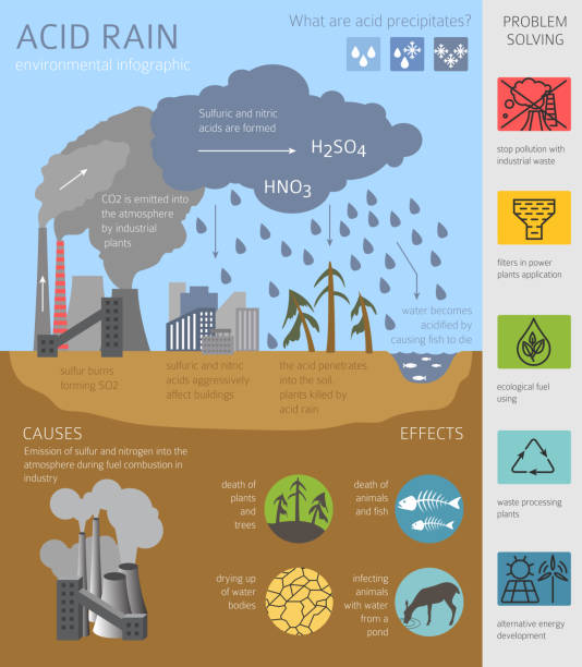 illustrazioni stock, clip art, cartoni animati e icone di tendenza di problemi ambientali globali. infografica pioggia acida - acid rain