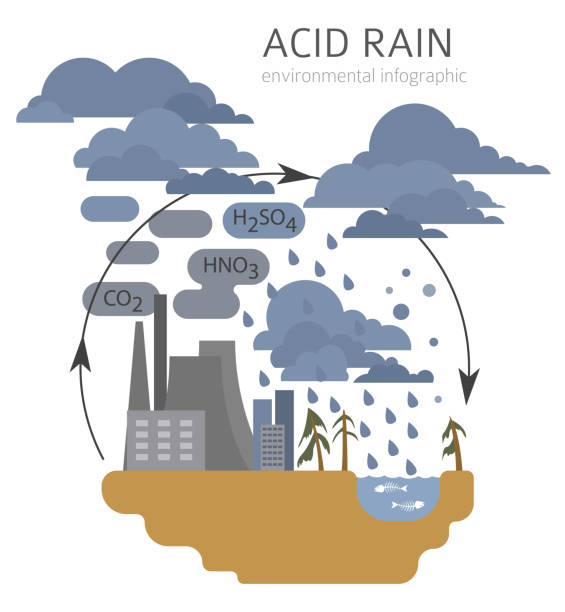 bildbanksillustrationer, clip art samt tecknat material och ikoner med globala miljöproblem. sura regn infographic - surt regn