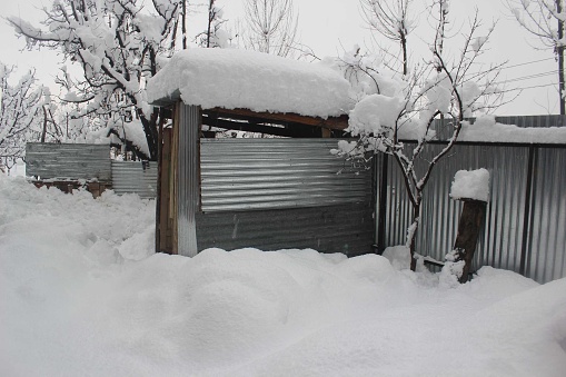 Kashmir valley is covered by a white blanket of snow, as it has been snowing heavily from the midnight of Sunday.