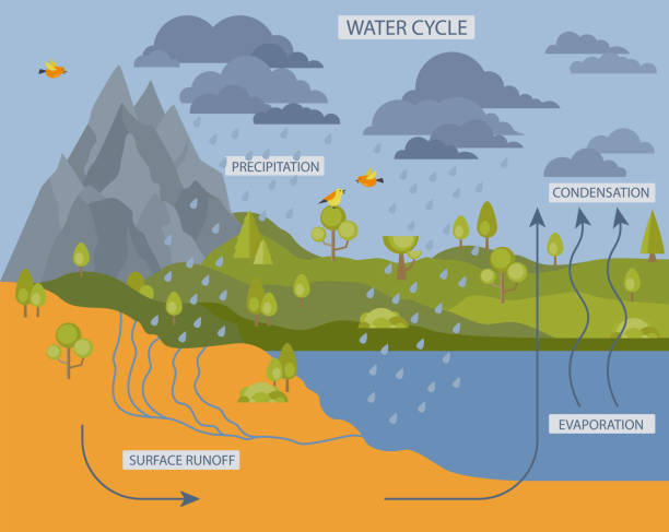 stockillustraties, clipart, cartoons en iconen met watercyclus. aardrijkskunde, ecologie infographic ontwerp - waterkringloop