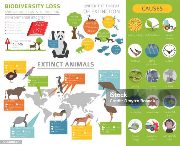 Environmentally Issues Global Environmental Problems Biodiversiry Loss Infographic Plants And ...
