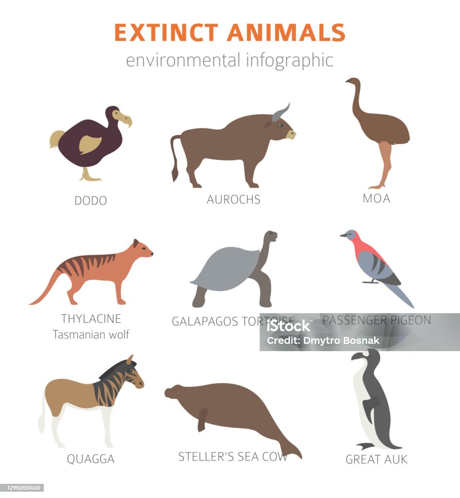 Global Environmental Problems Biodiversiry Loss Infographic Plants And  Animals Destruction Stock Illustration - Download Image Now - iStock