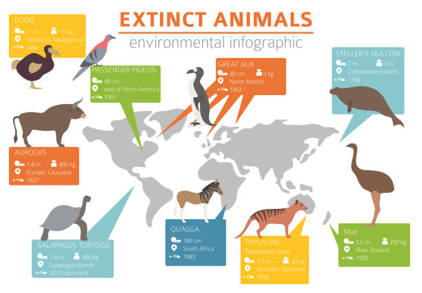 globale umweltprobleme. biodiversiry verlust infografik. pflanzen- und tierzerstörung - ausgestorbene tierart stock-grafiken, -clipart, -cartoons und -symbole