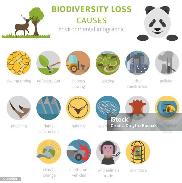 Global Environmental Problems Biodiversiry Loss Infographic Plants And  Animals Destruction Stock Illustration - Download Image Now - iStock