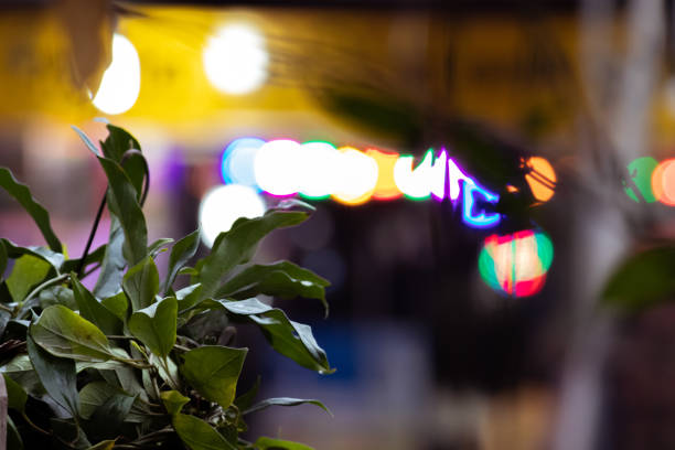 istock Party lights out of focus, tree leaves in foreground. 1295002812