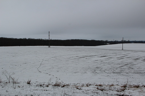 Agricultural field covered with snow, against the background of the electrical lines