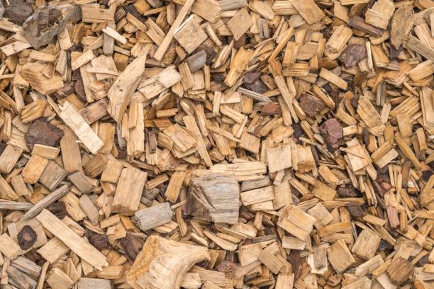 istock Background from timber sawdust chips - organic wooden surface on the ground 1295005428