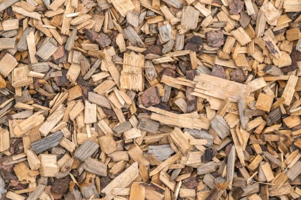 istock Background from timber sawdust chips - organic wooden surface on the ground 1295005460