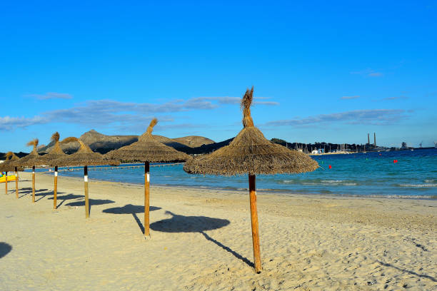 istock Straw umbrellas on the beach 1295006443