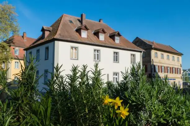 Photo of Daffodils in City of Bamberg Germany