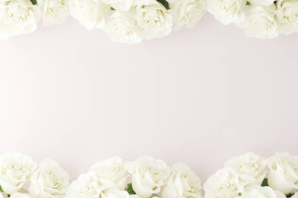 istock Love and Valentine's day background mockup. 1295009970