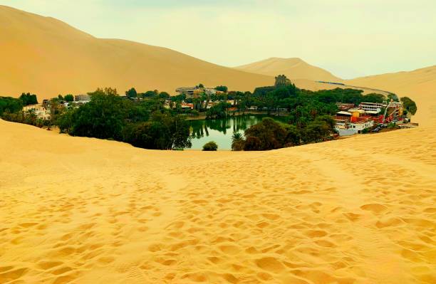 istock Oasis lake in desert surrounded high yellow sand dunes. 1295011462