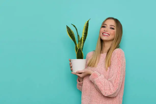 Photo of Happy Young Woman In Pink Sweater Is Posing With A Plant In White Pot
