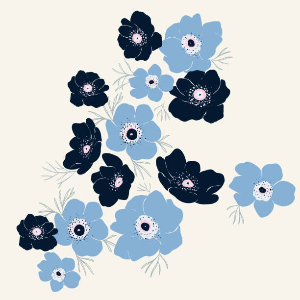 vektor abstrakte handgezeichnete blaue anemone blume illustration grafische ressource - windröschen stock-grafiken, -clipart, -cartoons und -symbole