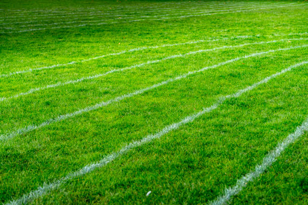 istock Grass running track on Parker's Piece, Cambridge 1295017463