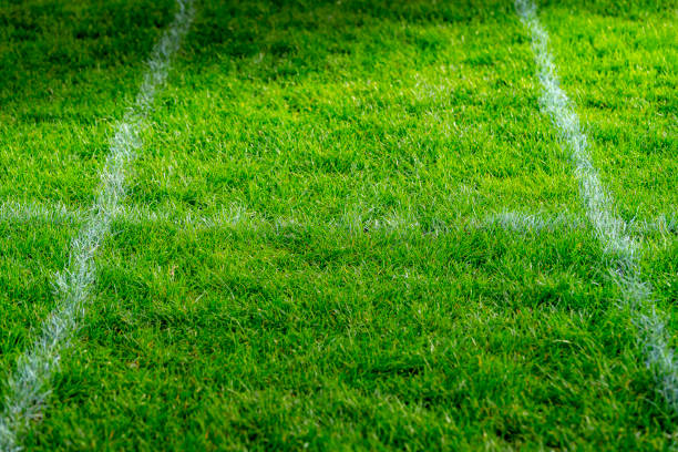 istock Grass running track on Parker's Piece, Cambridge 1295018098