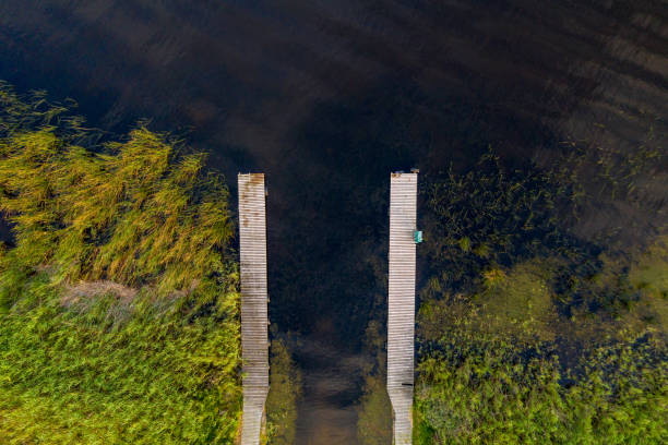 istock Top down view over a boat jetty in the lake 1295018286
