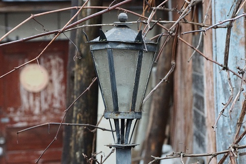 one old black iron lantern with gray glass on a pole on the street among the brown branches of a plant