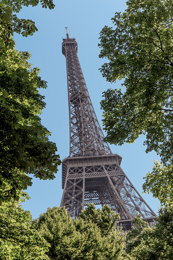 eiffel tower in paris under blue sky and framed by trees