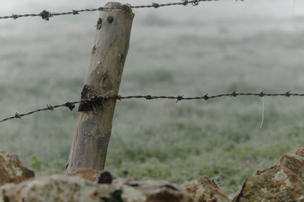 istock Old hardwire on a old wooden post on a frosty winters day 1295028145