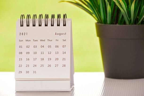 White August 2021 calendar with green backgrounds and potted plant. 2021 New Year Concept White August 2021 calendar with green backgrounds and potted plant. 2021 New Year Concept august photos stock pictures, royalty-free photos & images