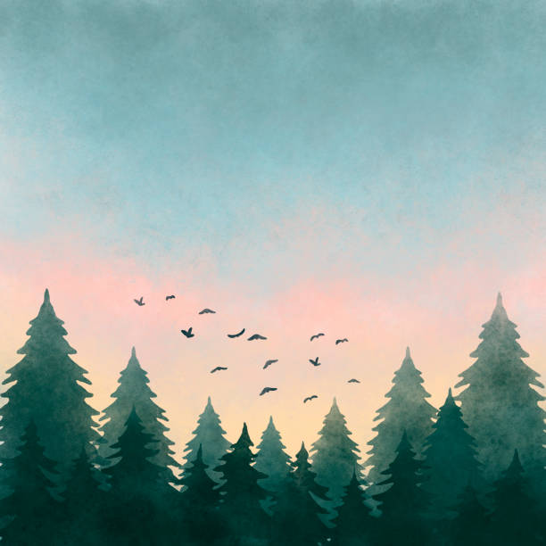 istock Watercolor illustration of a forest landscape at sunset 1295030191