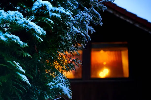 Conifer covered with a little snow in front of the intentionally blurred single-family house with warmly lit first-floor window.