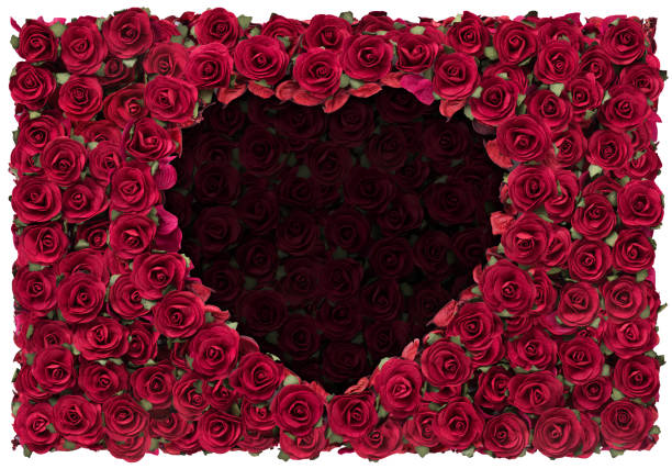 A heart shape cut out of pink paper that exposes a bed of red roses.