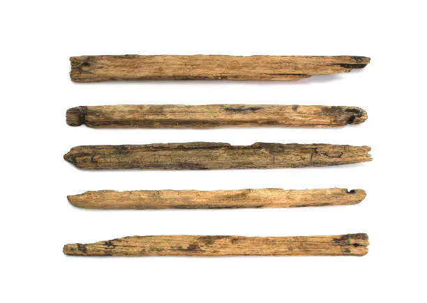 Photo of collection log wood on white background
