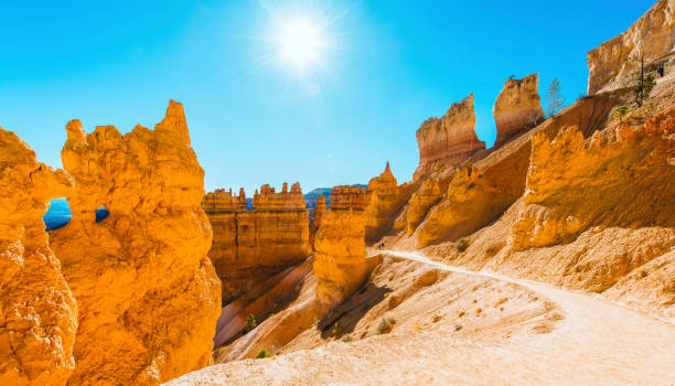 Bryce Canyon Walking trail through natural pinnacles and arches inside the Bryce Canyon, Utah, USA. Seen a sunny day in the autumn. bryce canyon stock pictures, royalty-free photos & images