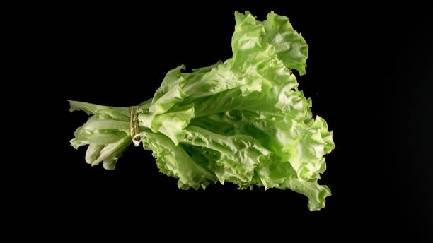 istock Fresh Green Lettuce On A Black  Table 1295033198