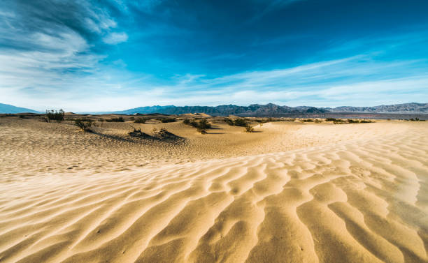 dunas de arena en el valle de la muerte - parque nacional death valley fotografías e imágenes de stock