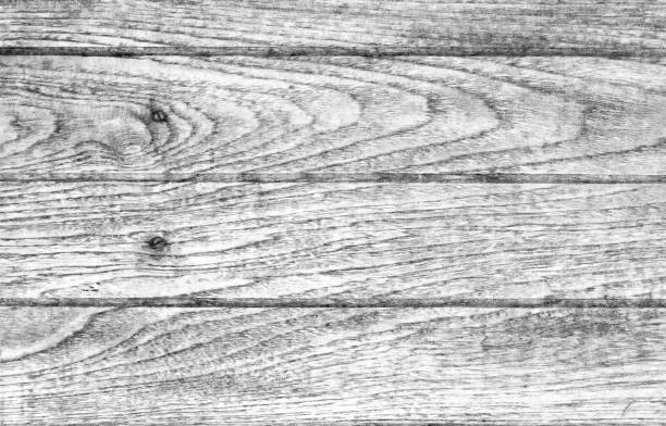 istock Wood panel white background painting wall 1295034692