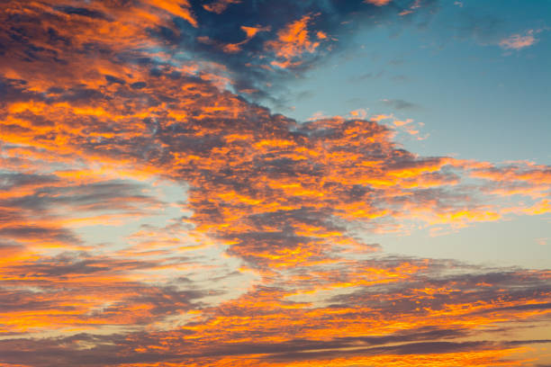 istock Orange clouds , twilight and blue sky in the evening 1295035247