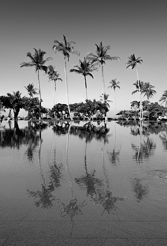Black and white photo of infinity swimming pool on the tropical island