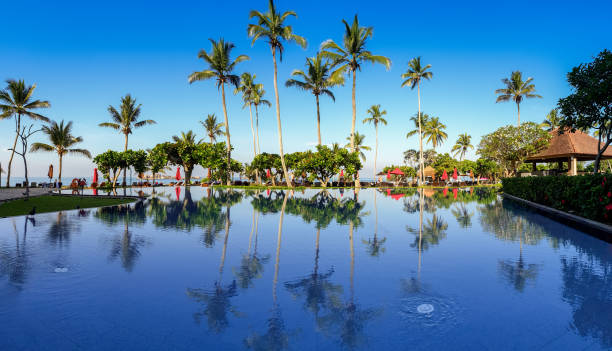 istock Panoramic image of palms and blue sky reflecting in the infinity swimming pool at tropical island 1295038182