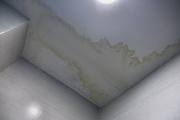 Water stain on the ceiling Water stain on the home ceiling.  Concept of condensation, damp, water infiltration, high humidity and respiratory problems. molding a shape photos stock pictures, royalty-free photos & images