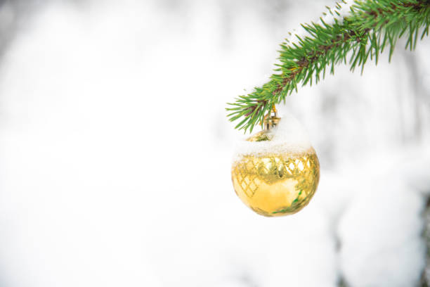 istock Close up big gold glitter ball on christmas tree 1295042409
