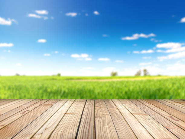 istock Wooden stage for objects presentation. Empty rustic wood with countryside background blurred. 1295043295
