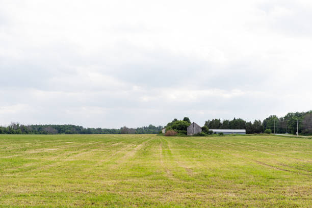 istock grass field in spring, with barn in the distant background in Kanata, Ottawa 1295049957