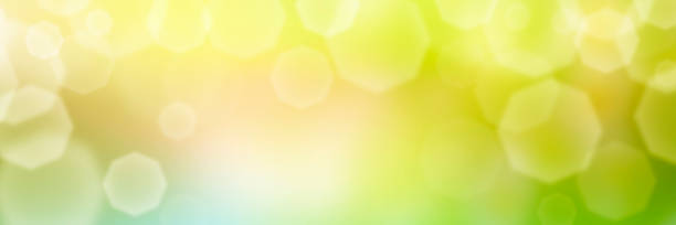 istock Abstract yellow sunny spring bokeh background for creative design. Festive background. 1295051043