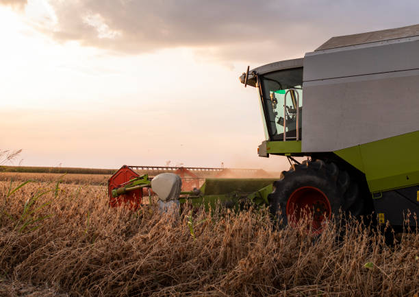 istock A combine harvesting soybeans at sunset 1295054682