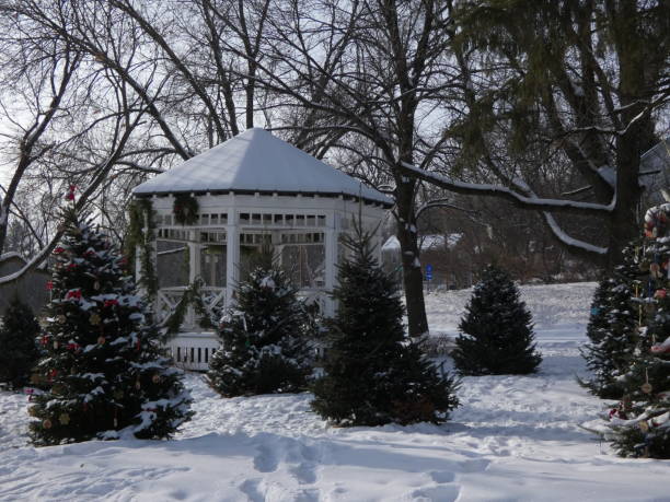 istock Small town Minnesota Gazebo 1295054759