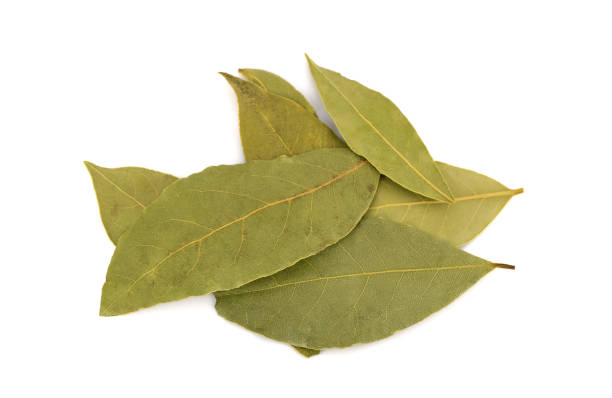 istock Spices bay leaves isolated on white 1295055226