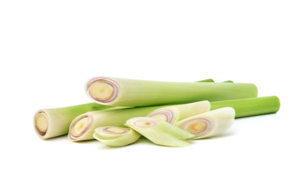 istock Fresh lemongrass on white background 1295055286