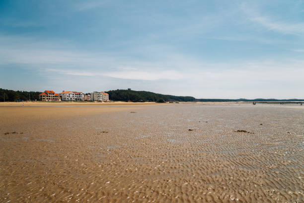 テアン、韓国の清浦大ビーチ泥平ら - sea beach mud flat mud ストックフォトと画像