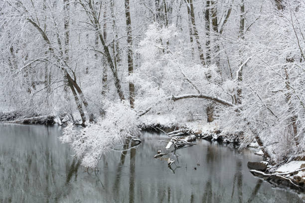 istock Snow Flocked Shoreline Kalamazoo River 1295055981